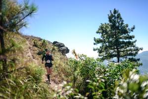 BIB: 
                            <button type="button" onclick="openModal(26608530)" class="btn btn-primary btn-sm float-right btn-popup" data-toggle="modal" data-target=".modal-high-quality">
                        <i class="fas fa-shopping-cart"></i> Add to Cart
                    </button>
                                            <button type="button" onclick="isThisMe(26608530, true)" class="btn btn-success btn-sm float-right btn-popup btn-isme hidden" data-toggle="tooltip" data-placement="bottom" title="นี่คือรูปของคุณใช่ไหม คลิกที่นี่เพื่อเอาเข้าอัลบั้ม">
                        <i class="fas fa-plus"></i> Add to album
                    </button>
                    <button type="button" onclick="isThisMe(26608530, false)" class="btn btn-warning btn-sm float-right btn-popup btn-isnotme hidden">
                        <i class="fas fa-ban"></i> Remove from album
                    </button>